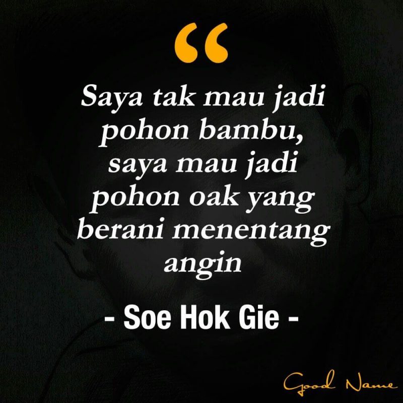 Quotes Politik Soe Hok Gie