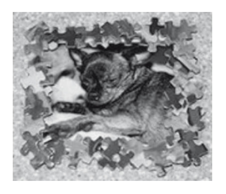 Membuat Bingkai Foto dengan Potongan potongan Puzzle