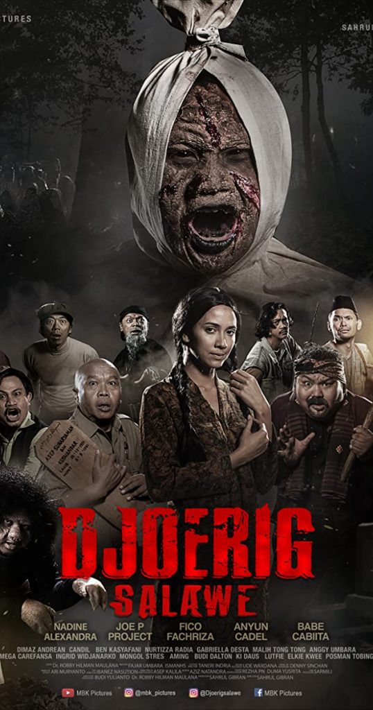 Poster Film Djoerig Salawe